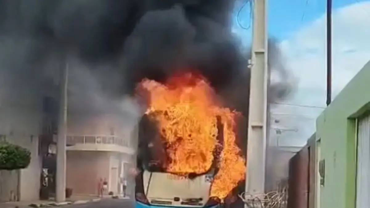 Ônibus da Viação Novo Horizonte vira cinzas após incêndio às margens da BR-242
